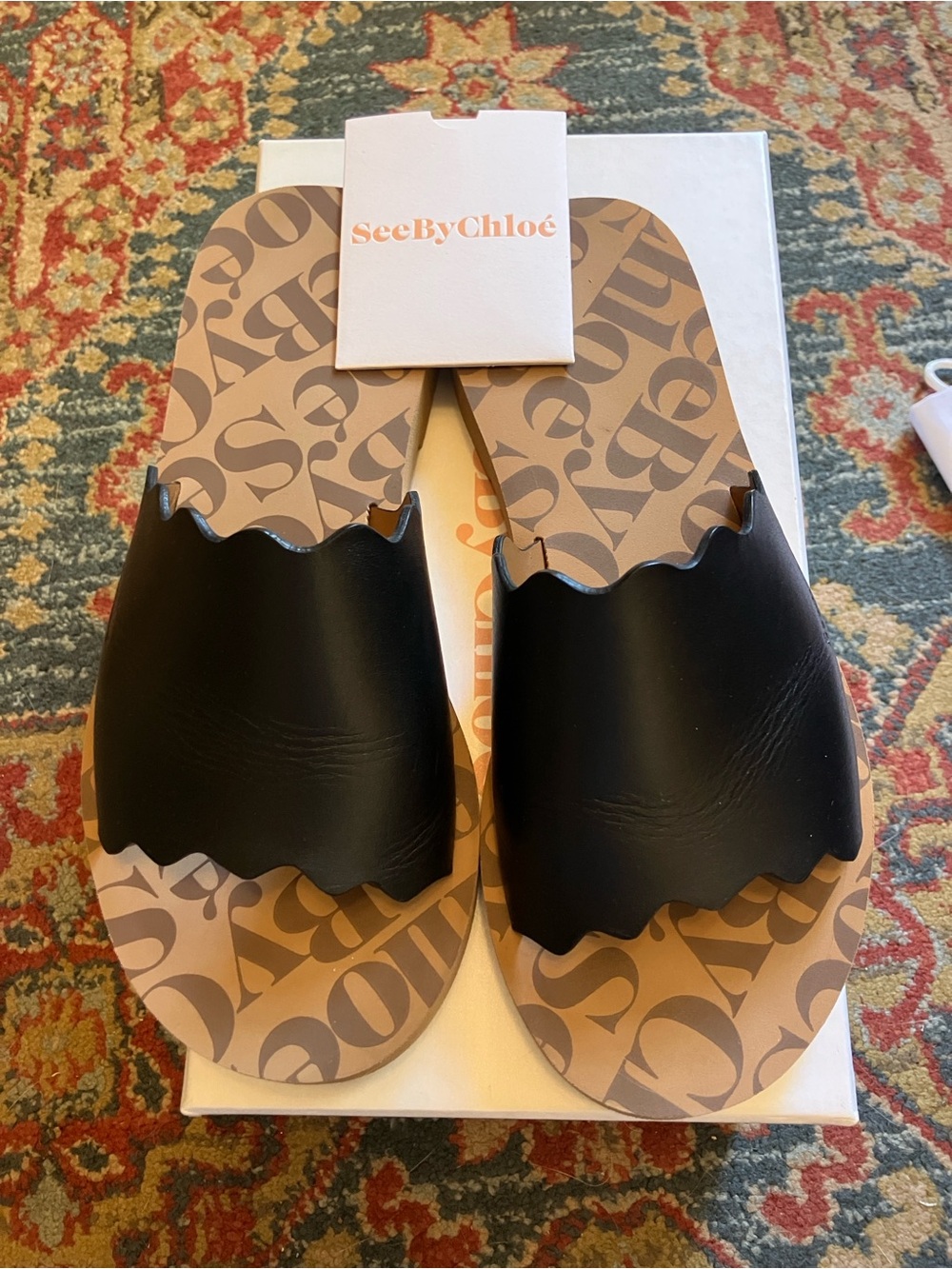 SEE BY CHLOE Essie Scalloped Leather Slide Sandals, Black, Size 8, Retail $235